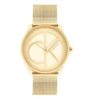 Watch Calvin Klein Woman Iconic Mesh in Steel 25200034 - 25200034